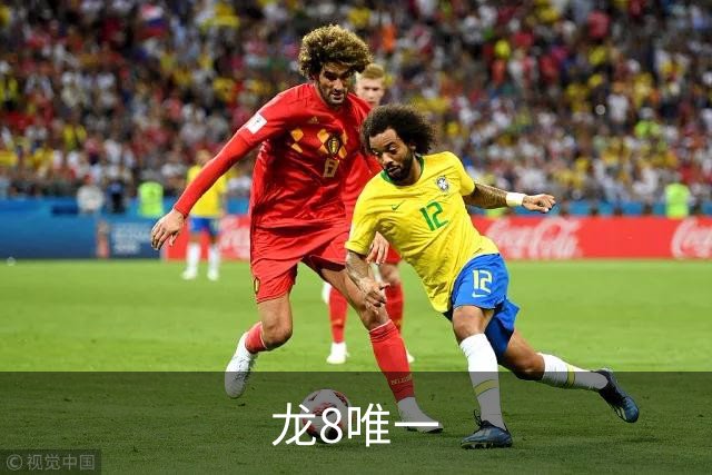 龙8唯一企业介绍